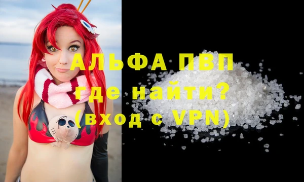 крисы Новокубанск