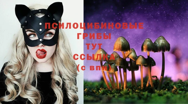 jwh Новозыбков