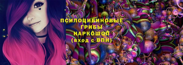 крисы Новокубанск