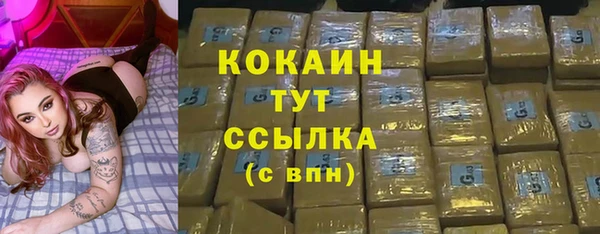 крисы Новокубанск