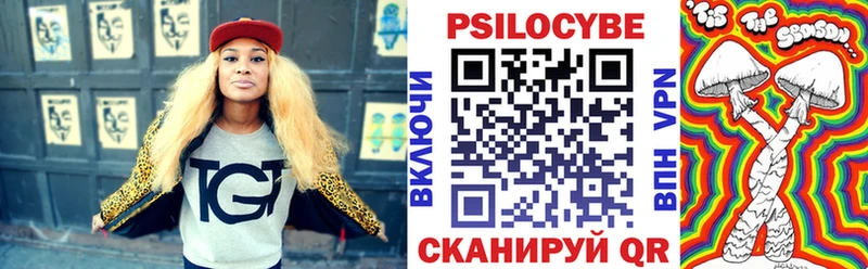 Псилоцибиновые грибы GOLDEN TEACHER  купить наркотики цена  Новотроицк 
